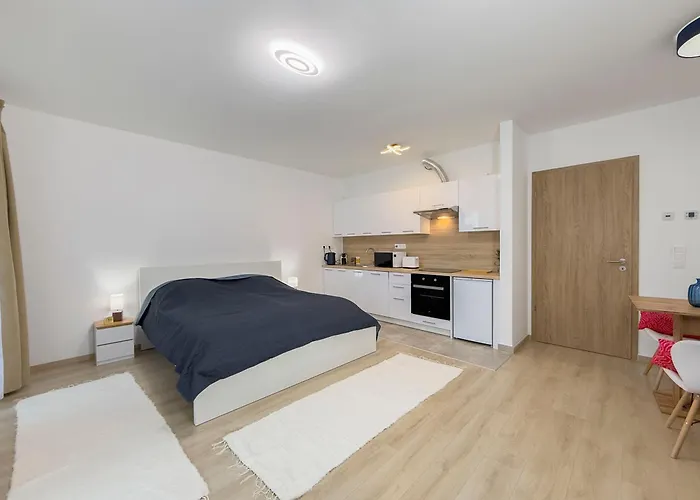 Danube River Flat With Balcony,free Garage