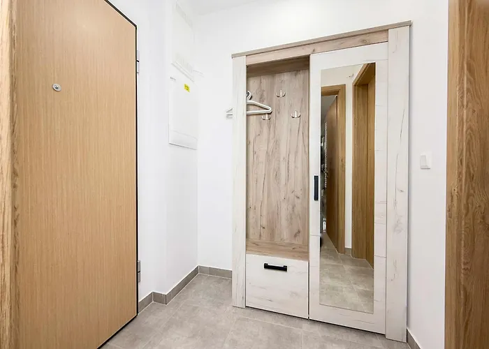Danube River Flat With Balcony,free Garage *
