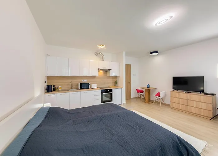 Apartament Danube River Flat With Balcony,free Garage Budapesta
