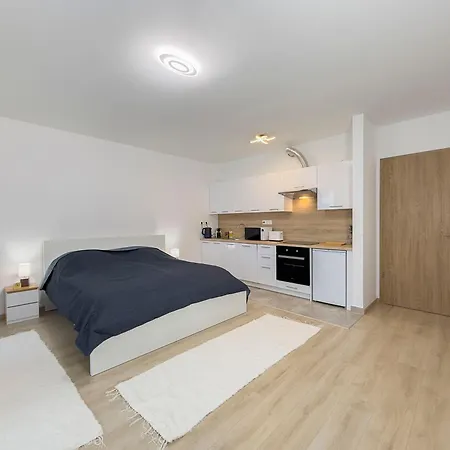 Danube River Flat With Balcony,free Garage