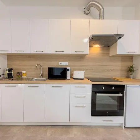 公寓 Danube River Flat With Balcony,free Garage