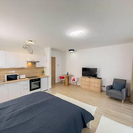 公寓 Danube River Flat With Balcony,free Garage *